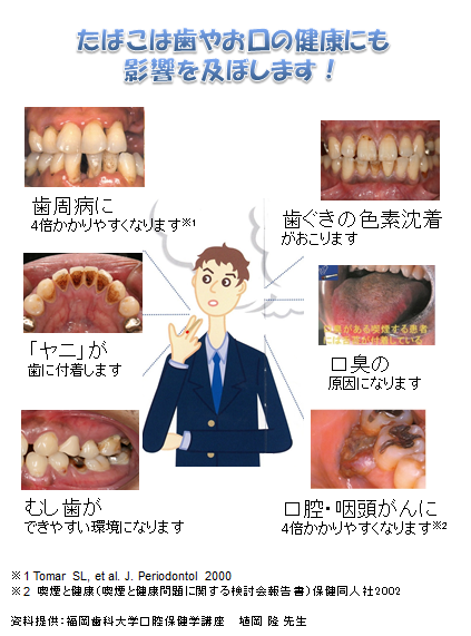 歯とお口の健康のチラシ