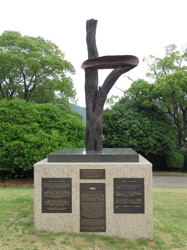 生命の木の写真