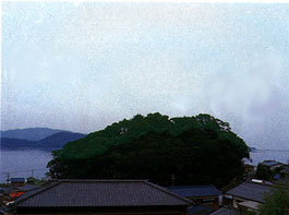 網場天満神社の社叢