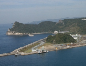 野島樹叢
