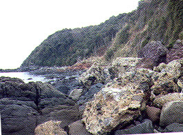 三重海岸変成鉱物の産地