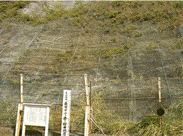 長崎市小ケ倉の褶曲地層