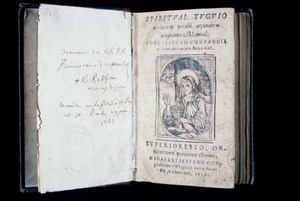 珠冠のまぬある