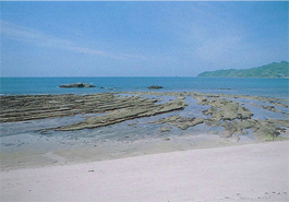 脇岬のビーチロック