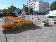 出島表門橋付近