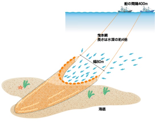 遠洋漁業の画像