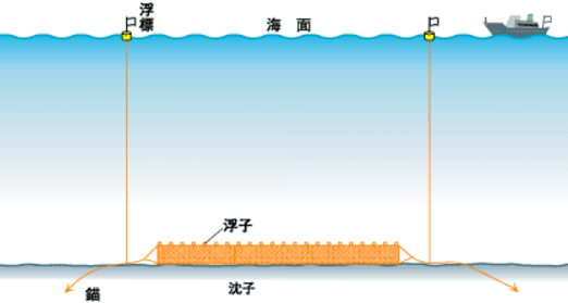 刺網漁業の画像
