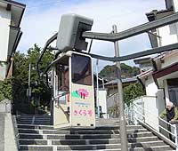 立山地区（懸垂型）「さくら号」