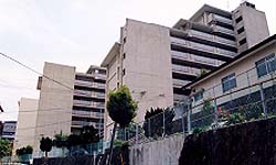 青山団地1
