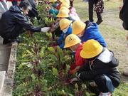 省エネルギー、省資源、リサイクル行動の画像3