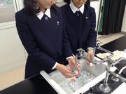 省エネルギー、省資源、リサイクル行動の画像8