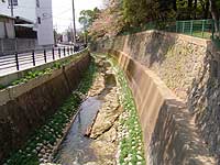 下の川都市下水路(平和地区)整備後