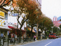 商店街ゾーンの画像