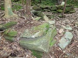 神浦ゾーンの画像