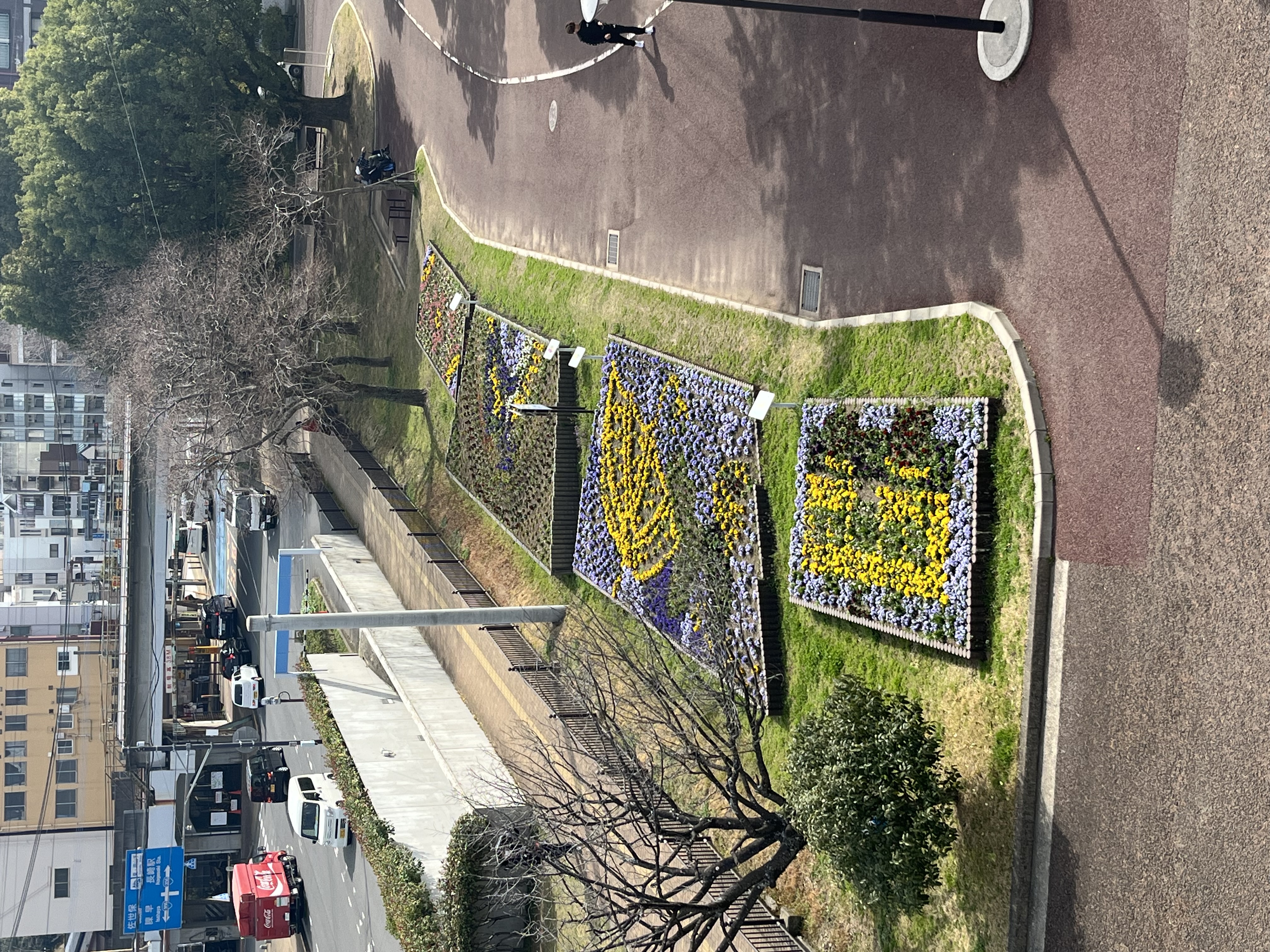 shokusaigozentaishashin