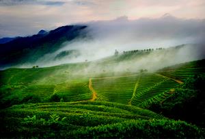 福州の街の様子の画像2