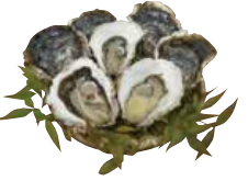岩ガキ