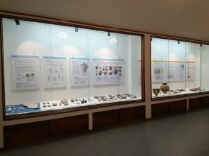展示室