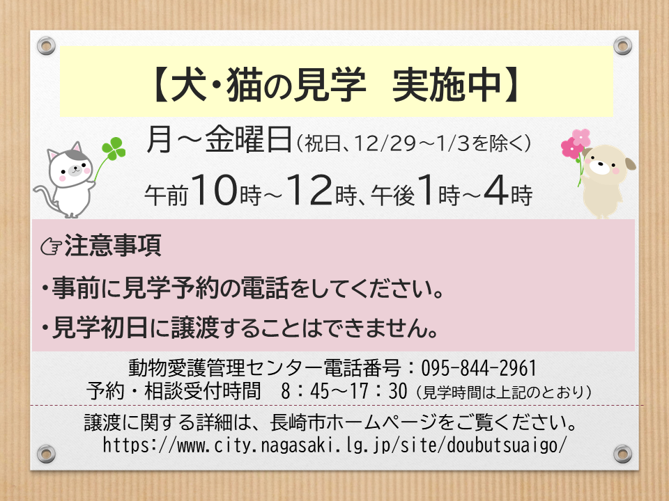 犬・猫の見学　実施中