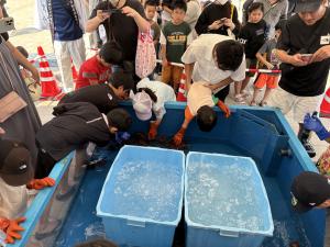 伊勢エビつかみ取り