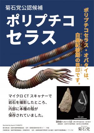 ポリプチコセラス