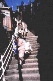 「さかんまち」長崎の現状と課題の画像2