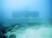 藻場造成の画像