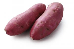 サツマイモの写真