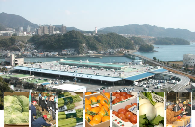 長崎市中央卸売市場の画像