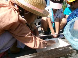 そーっとさわってみよう