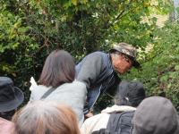 南公民館付近で草木を採取している