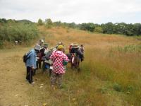 金毘羅山で植物採集をしている