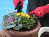 花を入れたプランターに土を足している