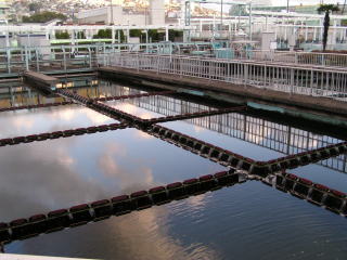 最終沈殿池の画像