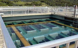 急速ろ過池の画像