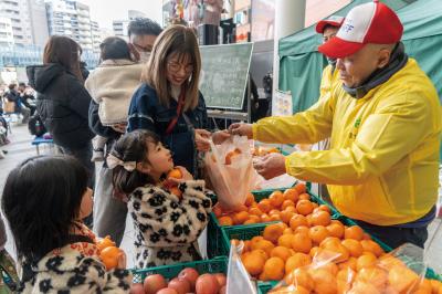 みかんの詰め放題