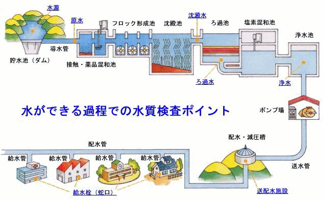 水質検査のポイント