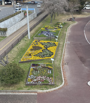 公共花壇の全体写真