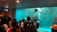 （ペンギン水族館）
