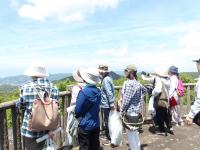 里山散策