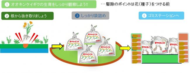 駆除の例