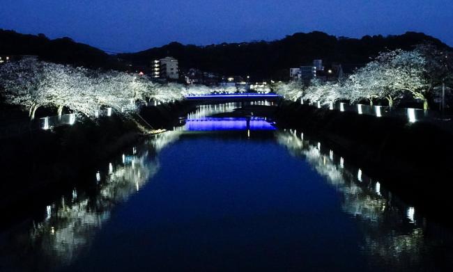 桜と八郎川