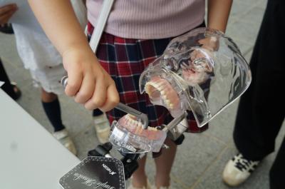 歯っぴいスマイルフェスティバルの抜歯体験の様子