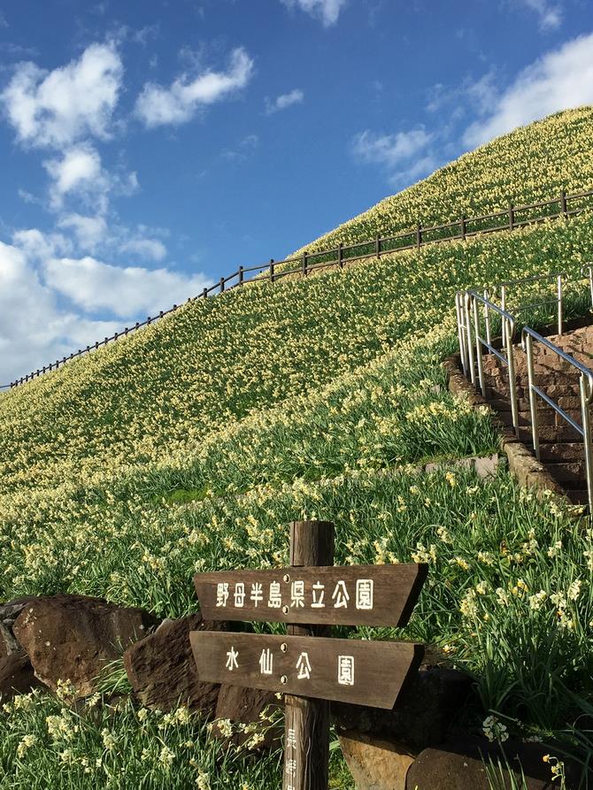 旧野母崎総合運動公園の画像1