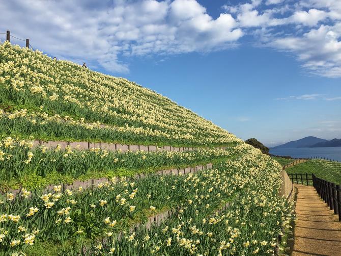 旧野母崎総合運動公園の画像2