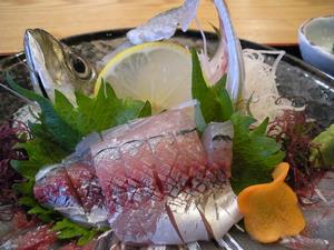 野母んあじ刺身