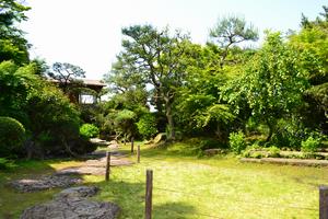 庭園(春)