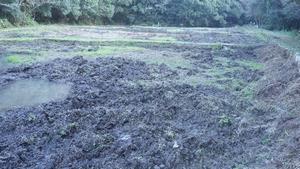 イノシシの被害状況（令和6年1月）の画像