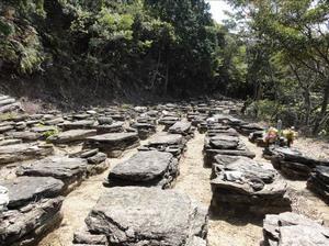 野道共同墓地