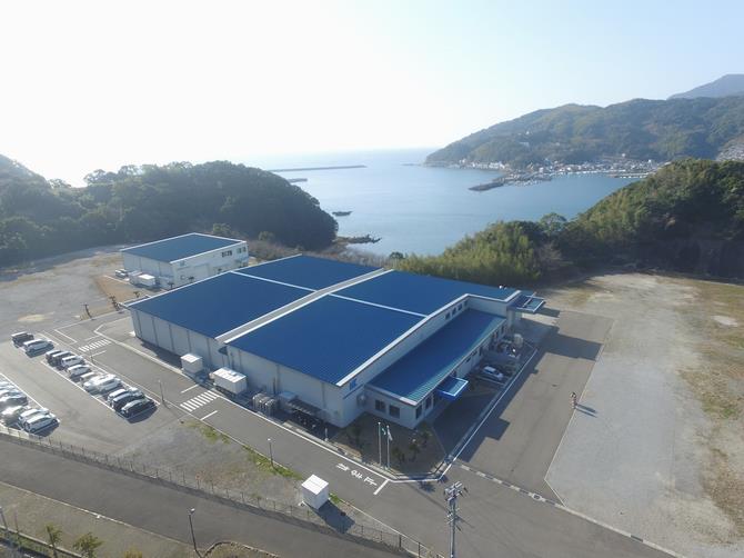 カネミツ長崎全景